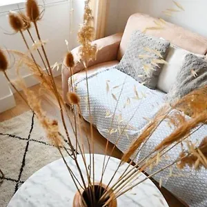 Chez Zize T2 Unique- Roucas-blanc Appartement Marseille